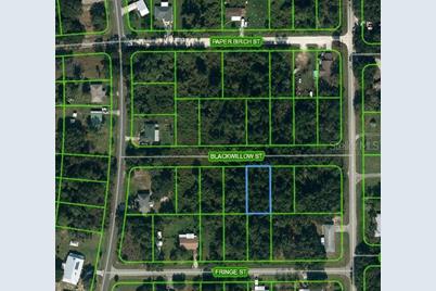 1505 Prentice Street, Lake Placid, FL 33852 - Photo 1