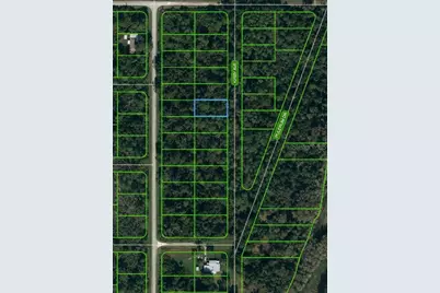 930 Kirby Avenue, Lake Placid, FL 33852 - Photo 1
