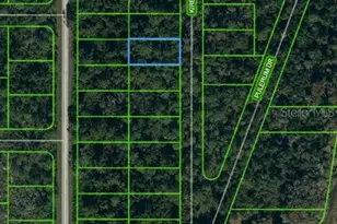 930 Kirby Ave, Lake Placid, FL 33852 - Photo 1