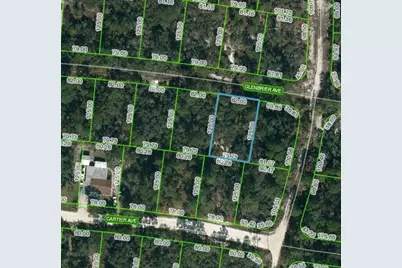 341 Glenbrier Avenue, Lake Placid, FL 33852 - Photo 1