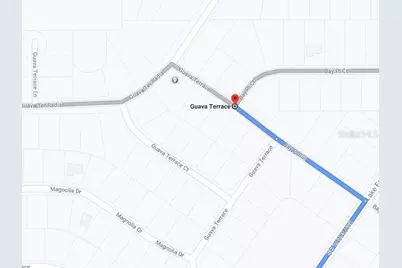 Guava Terrace, Ocklawaha, FL 32179 - Photo 3