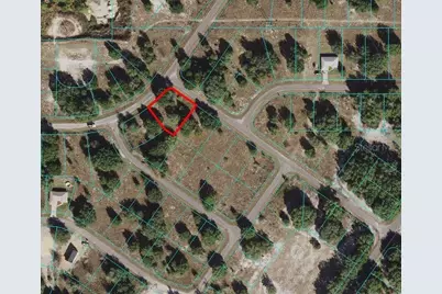 Guava Terrace, Ocklawaha, FL 32179 - Photo 1