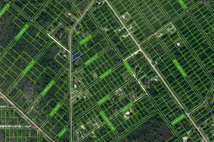 543 Hallmark Ave, Lake Placid, FL 33852 - Photo 1