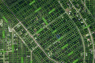 1230 Chestersall Ave, Lake Placid, FL 33852 - Photo 1