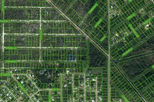 596 Tennessee Ave, Lake Placid, FL 33852 - Photo 1