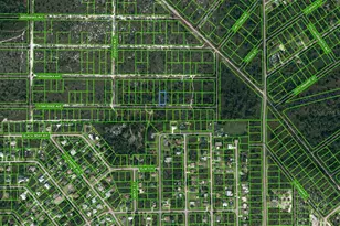 590 Tennessee Ave, Lake Placid, FL 33852 - Photo 1