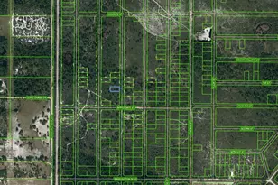 866 Scarlet Oak St, Lake Placid, FL 33852 - Photo 1