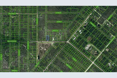 769 Washington Boulevard, Lake Placid, FL 33852 - Photo 1