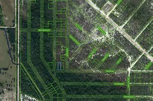 504 Nevada Ave, Lake Placid, FL 33852 - Photo 1