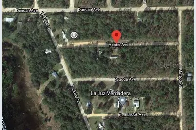00 Yeatts Avenue, Interlachen, FL 32148 - Photo 1
