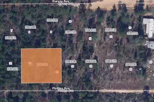 00 Phillips Ave, Interlachen, FL 32148 - Photo 1