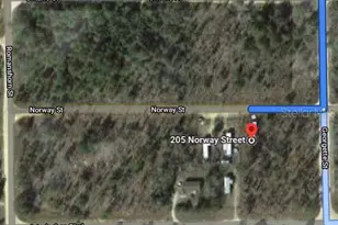 205 Norway St, Interlachen, FL 32148 - Photo 1