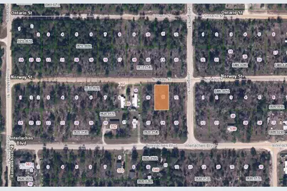 203 Norway Street, Interlachen, FL 32148 - Photo 1
