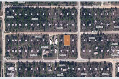 203 Norway Street, Interlachen, FL 32148 - Photo 1