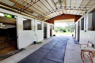 14012 S Magnolia Ave, Ocala, FL 34473 - Photo 35