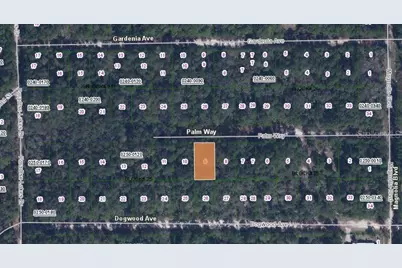 117 Palm Way, Georgetown, FL 32139 - Photo 3