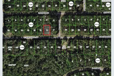 925 E Kingsdale Street, Citrus Springs, FL 34434 - Photo 1