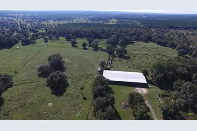 19350 NW 123rd Court, Micanopy, FL 32667 - Photo 31