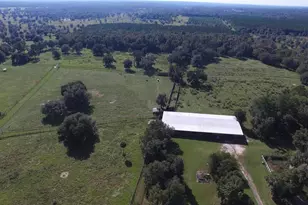 19350 NW 123rd Ct, Micanopy, FL 32667 - Photo 31