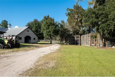 19350 NW 123rd Court, Micanopy, FL 32667 - Photo 51