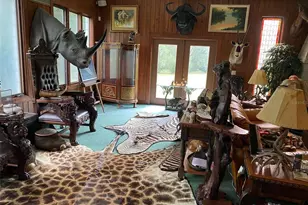 19350 NW 123rd Ct, Micanopy, FL 32667 - Photo 13