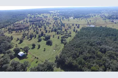 19350 NW 123rd Court, Micanopy, FL 32667 - Photo 33