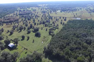 19350 NW 123rd Ct, Micanopy, FL 32667 - Photo 33