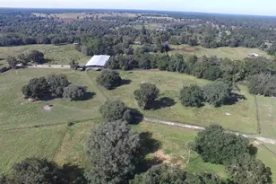 19350 NW 123rd Ct, Micanopy, FL 32667 - Photo 25