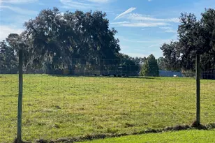 19350 NW 123rd Ct, Micanopy, FL 32667 - Photo 35