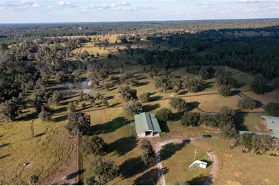 19350 NW 123rd Court, Micanopy, FL 32667 - Photo 47