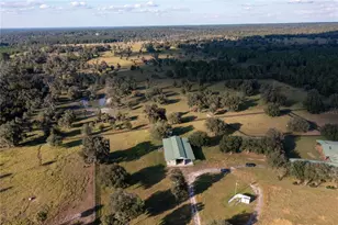 19350 NW 123rd Ct, Micanopy, FL 32667 - Photo 47