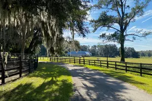 19350 NW 123rd Ct, Micanopy, FL 32667 - Photo 19