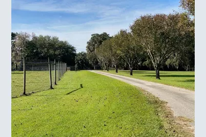 19350 NW 123rd Court, Micanopy, FL 32667 - Photo 37