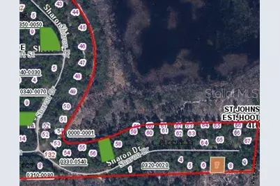 153 Sharon Drive, Satsuma, FL 32189 - Photo 3