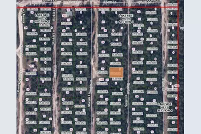 313 Suge Lane, Florahome, FL 32140 - Photo 3