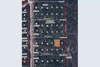 109 Nocatee Drive, Florahome, FL 32140 - Photo 3