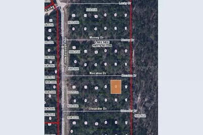 109 Nocatee Drive, Florahome, FL 32140 - Photo 3