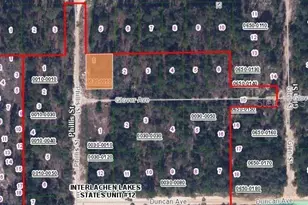 100 Phillis St, Interlachen, FL 32148 - Photo 1