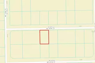 Lot 4 NE 237th Ln, Fort Mc Coy, FL 32134 - Photo 1