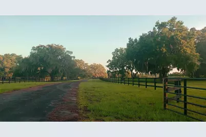 1077 SW 144th Court Road, Ocala, FL 34481 - Photo 11