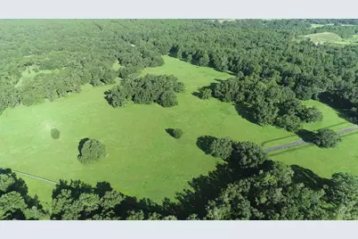 1077 SW 144th Court Road, Ocala, FL 34481 - Photo 3
