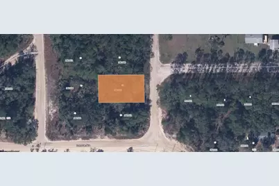 103 St Johns Avenue, Interlachen, FL 32148 - Photo 1