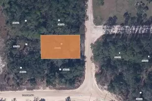 103 St Johns Ave, Interlachen, FL 32148 - Photo 1