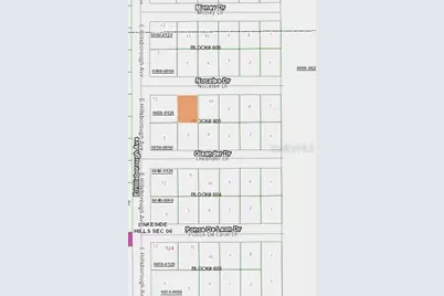 103 Nocatee Drive, Florahome, FL 32140 - Photo 1