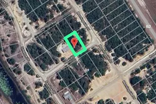 456 Hawick Ct, Lake Placid, FL 33852 - Photo 1