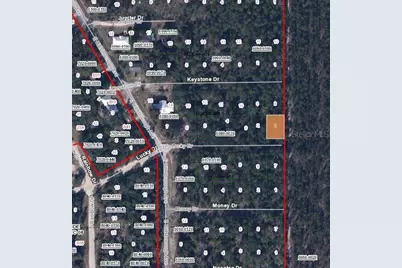 312 Lucky Drive, Florahome, FL 32140 - Photo 3