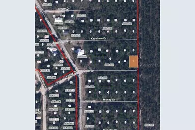 312 Lucky Drive, Florahome, FL 32140 - Photo 3