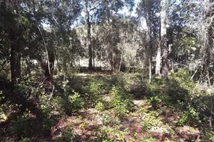 NE 169th Pl Pl, Citra, FL 32113 - Photo 1