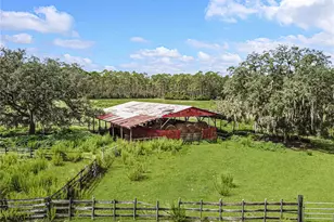3350 NE 125th Terrace Rd, Silver Springs, FL 34488 - Photo 13