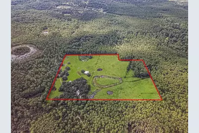 3350 NE 125th Terrace Road, Silver Springs, FL 34488 - Photo 5